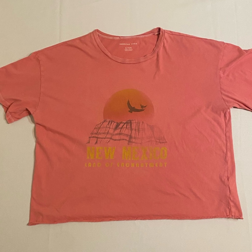 American Eagle Sz XL Cropped New Mexico Graphic T-Shirt